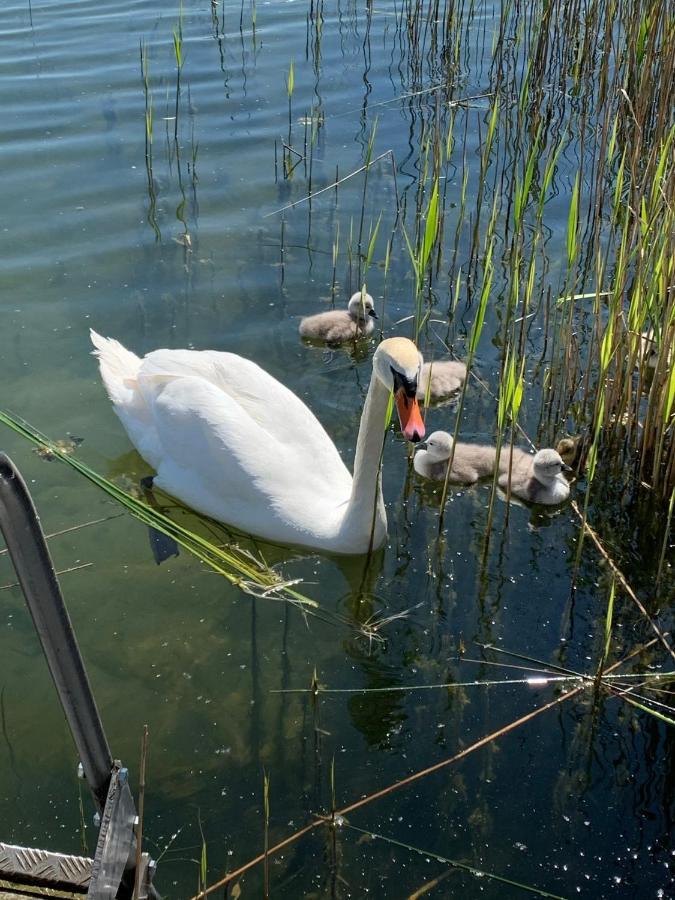 Sweet App Am See Ponitz am See 외부 사진