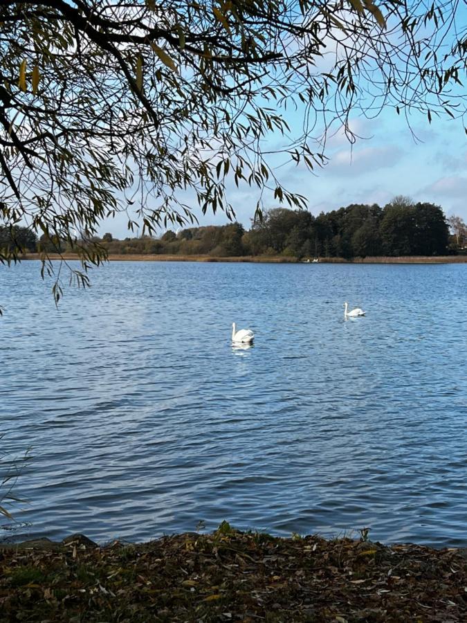 Sweet App Am See Ponitz am See 외부 사진